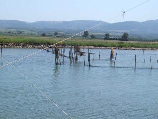 Immagine allegata alla scheda. Per averne una descrizione leggere i dettagli più in basso.